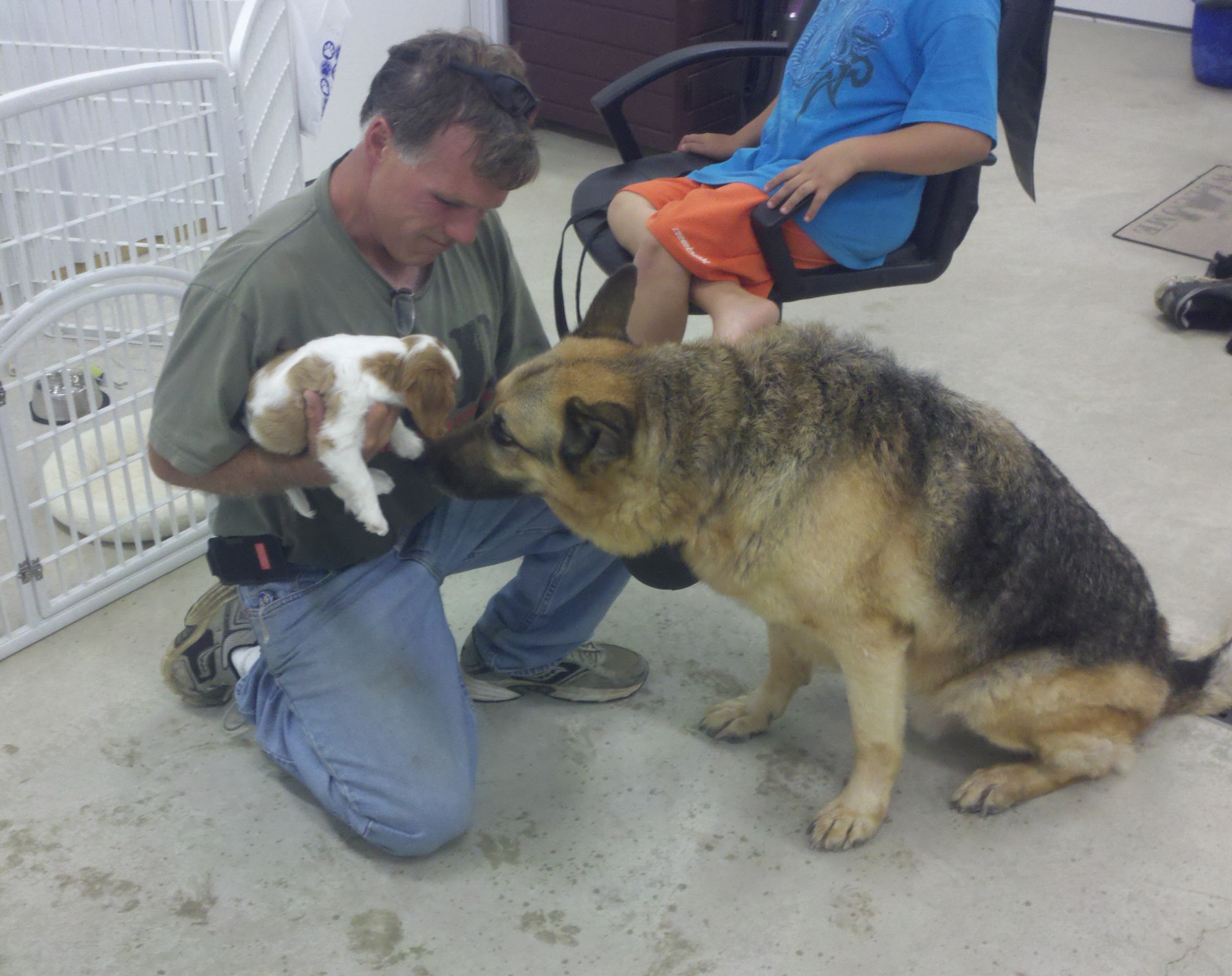 Dog grooming Greensburg PA